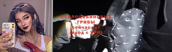 apvp Лагань
