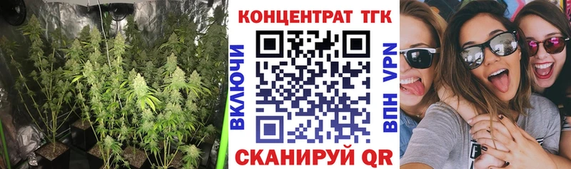 Купить закладки Белинский ТГК Wax