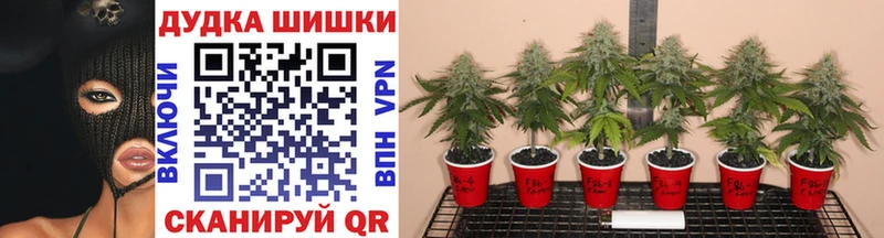 Купить где  Белинский  МАРИХУАНА Amnesia 